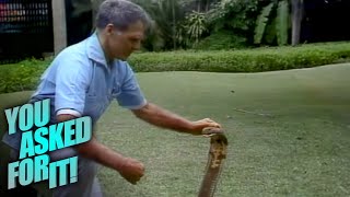 Rare Footage of Bill Haast Catching a Cobra with His Bare Hand