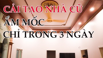 Cải Tạo Nhà Cũ Bong Tróc Ẩm Mốc Chỉ Trong 3 Ngày #noithattakadecor