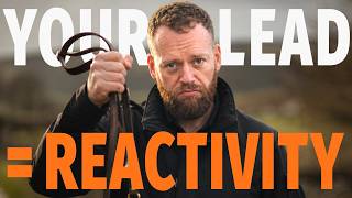 Your Lead Is Making Your Dog Reactive. Here's How to Fix It.