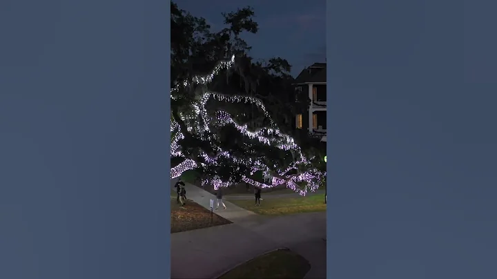 Holly Jolly Jekyll Island Epic Million-Light Chris...