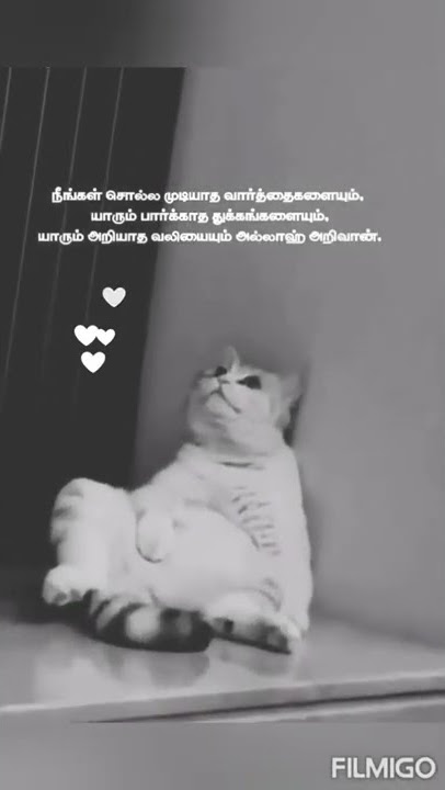 Sadness|| Allah knows everything|| islamic info tamil#whatsapp status video