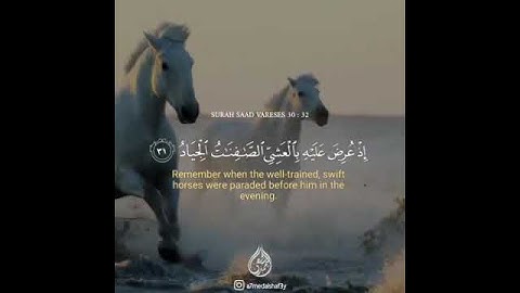 حالات واتساب القرآن كريم 🌿نعم العبد إنه أواب🌿🌷 بصوت القارئ أحمد الشافعي