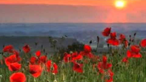 سورة العصر بصوت وديع اليمني