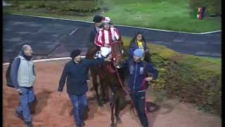 Carr. 12 Premio: RENE FAVALORO 09-06-2022
