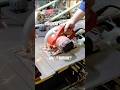 @DiabloTools Steel Demon saw blade tested #howto #fabrication #weld #cut #diy #learn