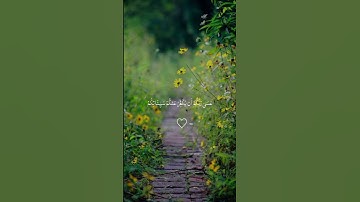 القران الكريم راحة نفسية 🥺❤️❤️🎧 #اكسبلور #لايك