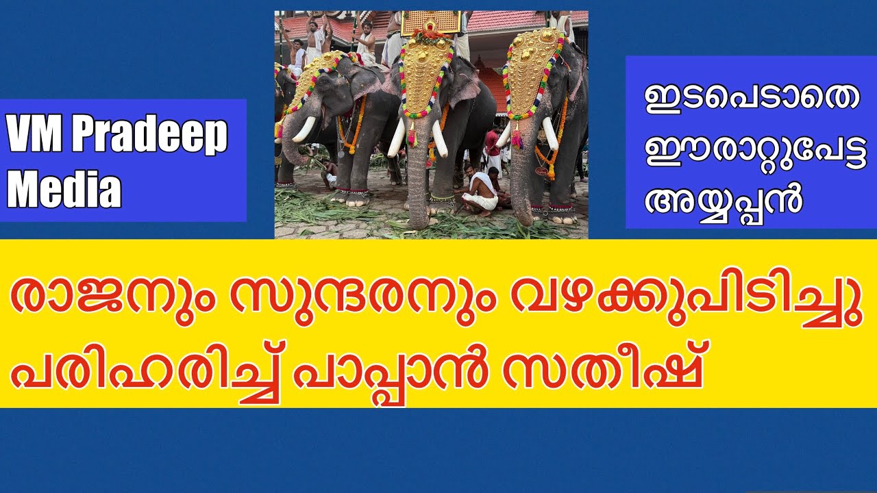 പാമ്പാടിരാജൻ സുന്ദരൻ സഹോദരങ്ങൾ തമ്മിൽ വഴക്കിട്ടു പരിഹരിച്ച് പാപ്പാൻസതീഷ്@VMPRADEEP#elephantattack