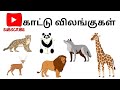 Wild animals name in tamil      animals    learn kids