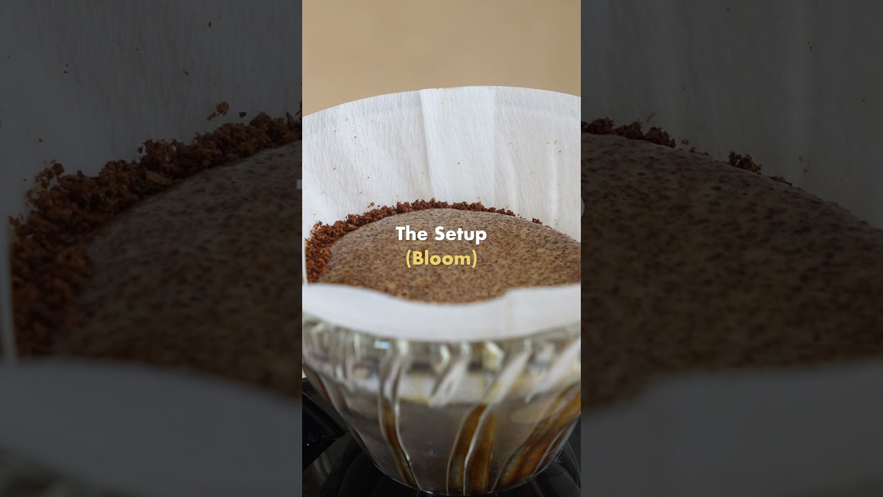 Daily Pour Over (Ft. Hario V60 01) 