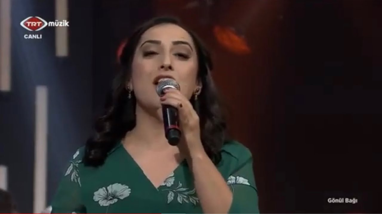 YOL HAVASI&OMUZUMDA BAL KABİ