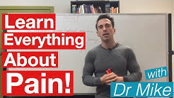 Pain | Pathway and Analgesics (NSAIDs, Opioids, Antidepressants, and Anticonvulsants)