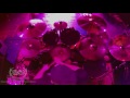 DEMONSEED - DRUM CAM &quot;Human Disposal Syndicate&quot; 4-1-17 HD