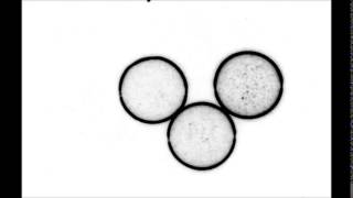 Particle dispersion in sheared suspensions: Crucial role of solid-solid contacts