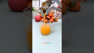 Stainless Steel Manual Fruit Juicer #shorts #gadgets #juicer #products