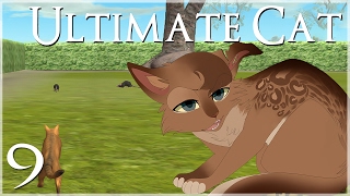 A Rat Invasion & Deadly Dog Fight!! • Ultimate Cat Simulator - Episode #9