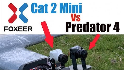 🌃 Night Flight ✈️ Foxeer Cat 2 Mini VS Predator 4