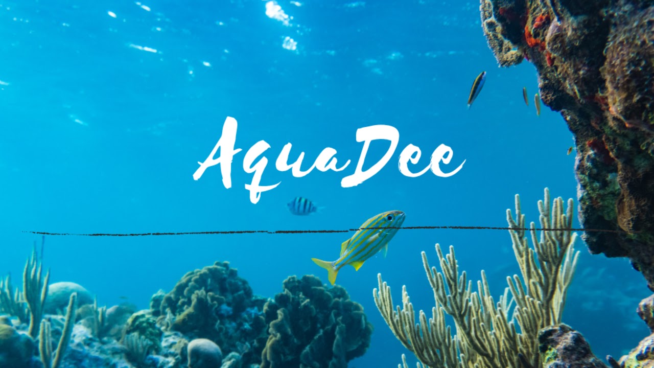 Trickling Water and Shimmering Fish Tank Noise for Deep Sleeping Fast | Aquarium Harmony Sounds