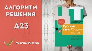 Видеоразбор ЦТ по Русскому [А23| 2015]