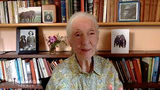 Dr. Jane Goodall on on Her First Encounter with David Greybeard at The Women's Equality Summit