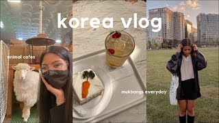 KOREA VLOG 🐑 simple days in seoul, animal cafes, eating everything i see by Malia Ramos 14,888 views 1 year ago 15 minutes