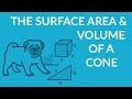 Cone Surface Area and Volume Quiz
