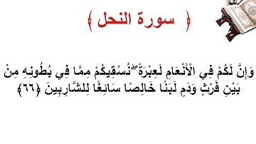 سورة النحل الأية 66