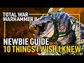 10 Things I Wish I Knew Before Playing Total War: Warhammer II - A Newbie Guide
