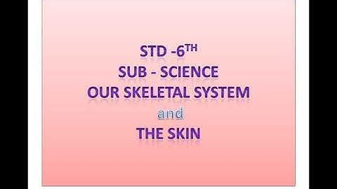 Std - 6th, Sub - Science, Our Skeletal System and the Skin.