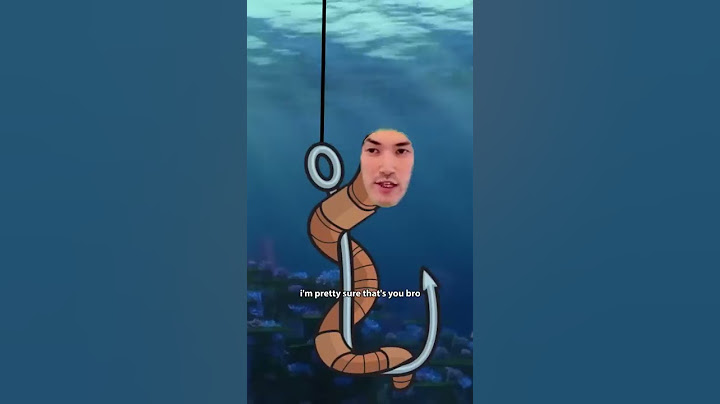 The everyday life of fish