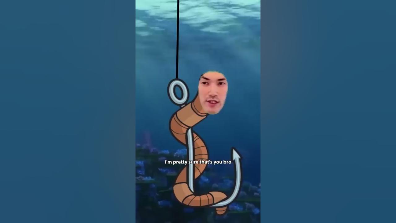 The everyday life of fish