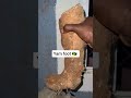 A unique jamaican yam