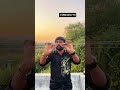 #Natural products #influencer2.0#Chaitu’s Natural’s#parabin sls free#ecofriendly#Hair&skin care 🌿🌿🌿🌿