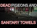 Dead Pigeons and Sanitary Towels in the Abandoned Building
