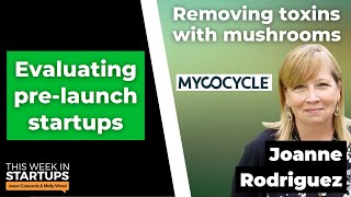 How VCs evaluate pre-launch startups + Mycocycle's Joanne Rodriguez | E1540