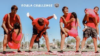 just a couple who are NOT fitness gurus trying the KOALA CHALLENGE! 🐨