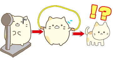 すすみっコぐらしゾフルン Mp3 すすみっコぐらしゾフルン Mp3