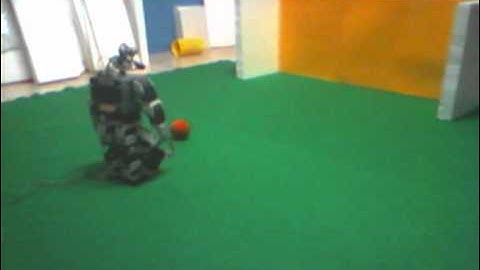 Bioloid Soccer Bot