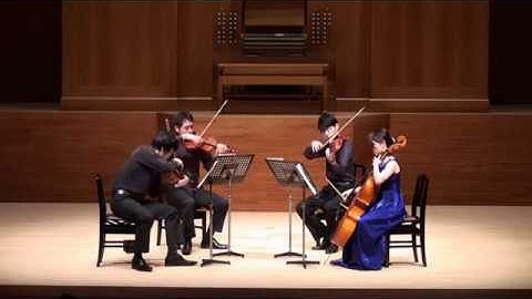 Schubert String Quartet No.9 D173