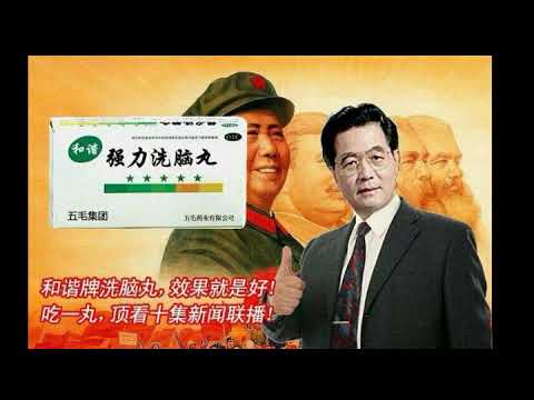 胡锦涛罪恶旧闻大放送：胡锦涛拥抱经典法西斯主义. 林奉岩：胡温政权何去何从？“中国是经典法西斯主义”