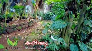 Berbagi Makan untuk Suku Mante Orang Bunian | Awak Pening Official