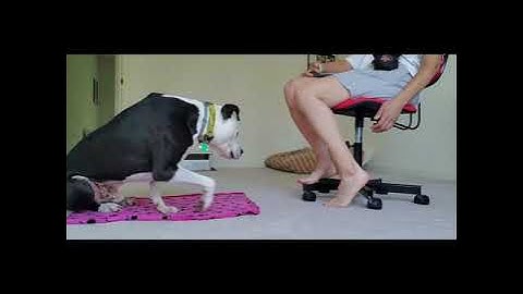 Relaxation Protocol: Suzanne Clothier - Indoors