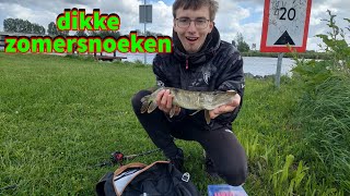 Zo Vang Je Zomersnoeken Snoekvissen