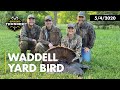 Waddell "Yard Bird" | Pecan Orchard Turkey | Realtree Spring Thunder