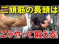 上腕二頭筋の長頭を鍛えてピーク（高さ）を出す方法！フォームのポイントやオススメ種目などを徹底解説！