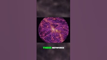 The Astonishing Secrets of the Cosmic Web Unveiled