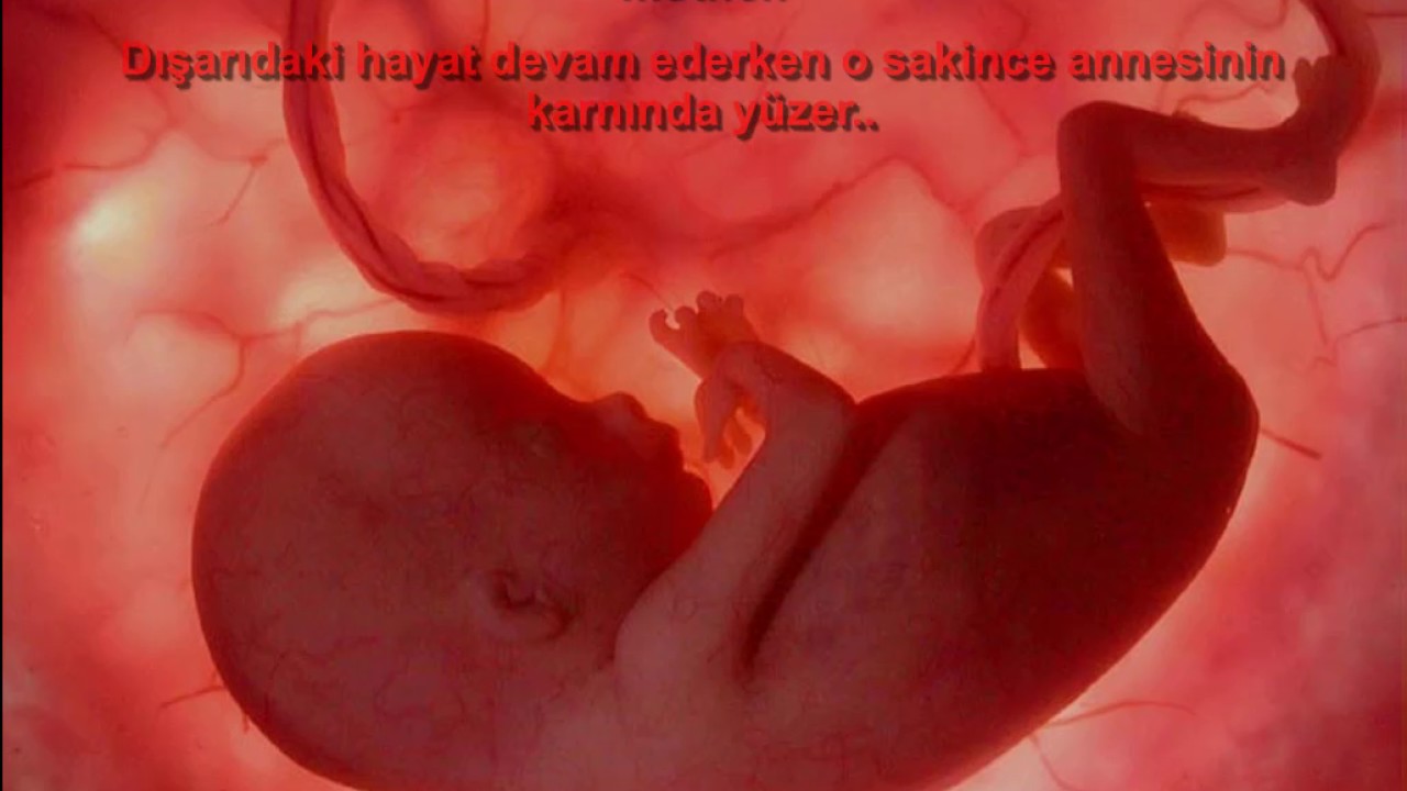Parable: İki bebeğin rahmindeki konuşması 27 Parable: İki bebeğin rahmindeki konuşması 50