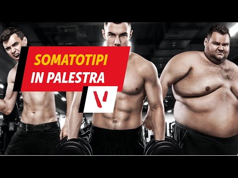 Somatotipi in palestra: endomorfo, mesoformo, ectomorfo