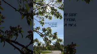 I will not fear #jesus #god #nature #religion #spring #spirituality #calm #psalm #quote #proverb