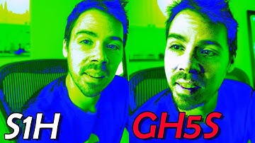 Panasonic S1H vs GH5s: What