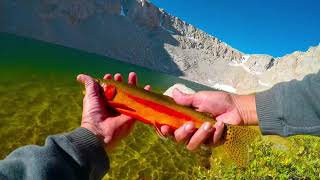 I catch nice golden trout in cottonwood lakes 4 & 5 and provide
instruction on a couple of ways to fish jigs there (eastern sierra).